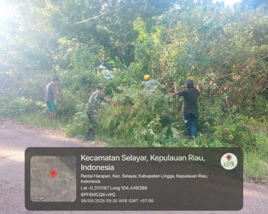 Pohon Ganggu Jaringan Listrik, Babinsa Dampingi Petugas PLN Lakukan Pemangkasan di Pantai Harapan
