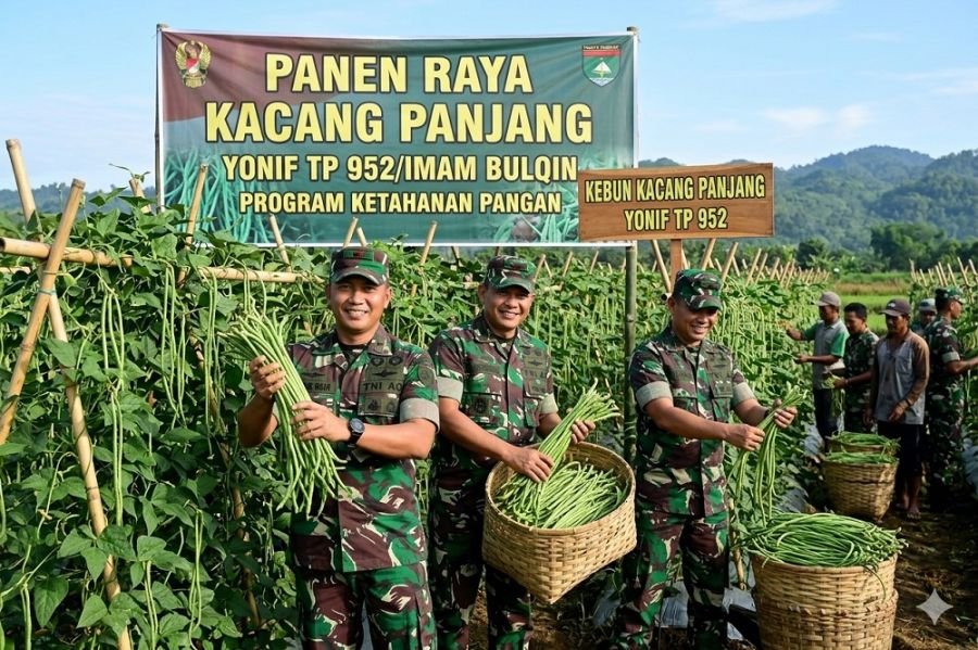 Prajurit Yonif TP 952/IB Manfaatkan Lahan Kosong untuk Ketahanan Pangan