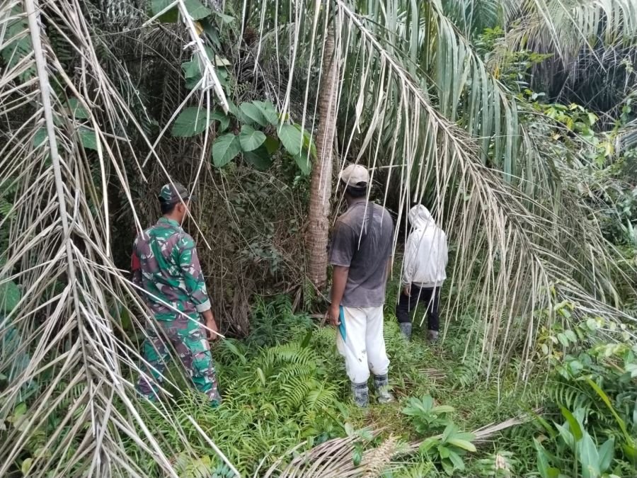 PRATU ALDIMAS KELILING LAHAN MASYARAKAT UNTUK CEGAH KARHUTLA DI DESA ALAHAIR TIMUR