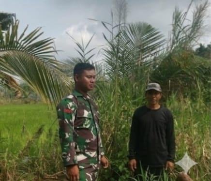 Pratu Umar Patroli Tapal Batas, Wilayah Tempuling Siaga Karhutla
