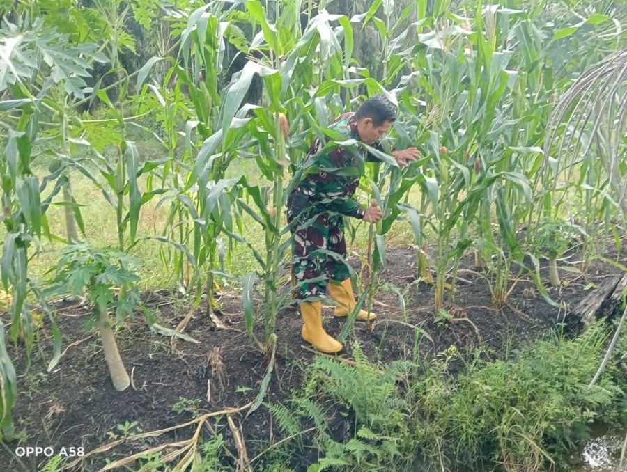 RAWAT TANAMAN DI ECOPARK, SERDA Z. PANJAITAN DUKUNG KETAHANAN PANGAN WILAYAH