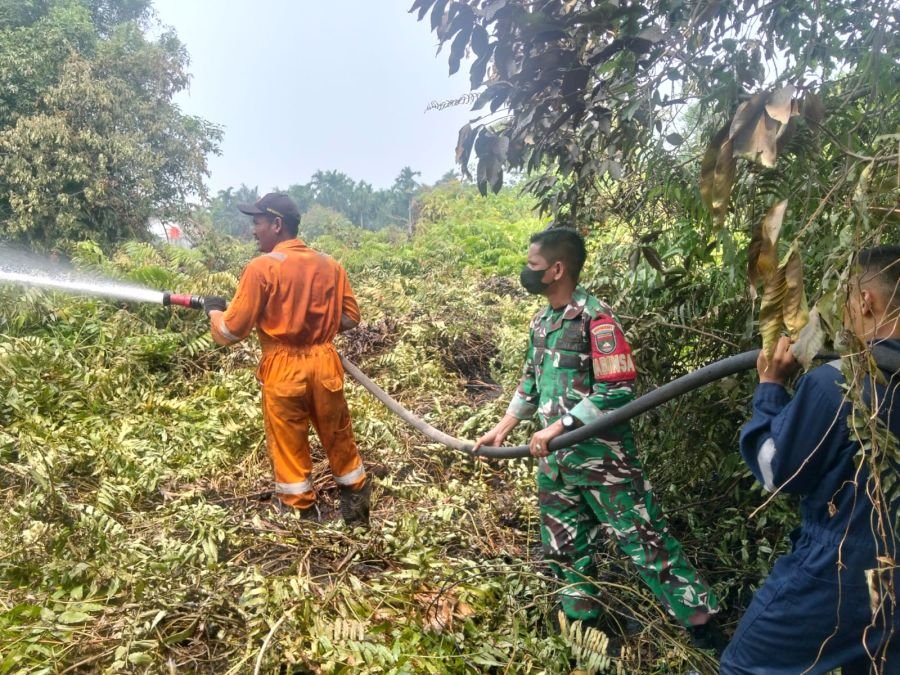 Respons Cepat Babinsa dan Tim Gabungan, Kebakaran Lahan di Tangkerang Barat Tak Meluas