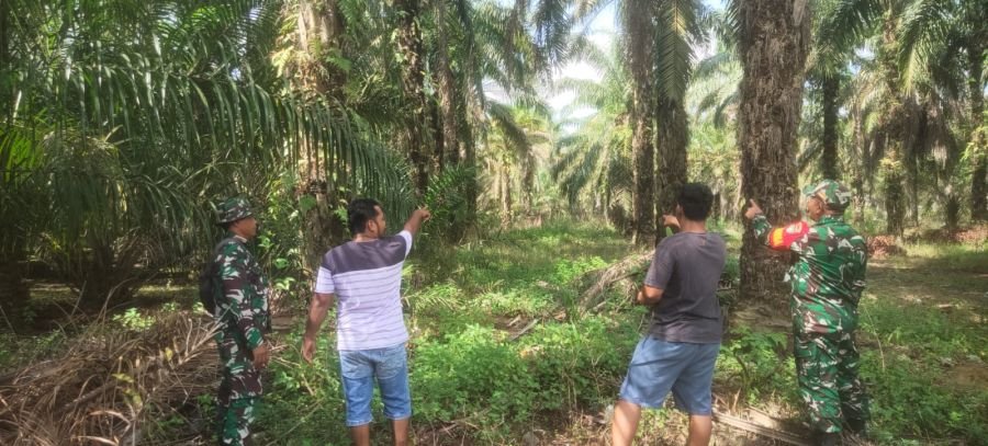 RUTINITAS BABINSA LAKUKAN PATROLI PENCEGAHAN KARHUTLA DI DESA BINAAN