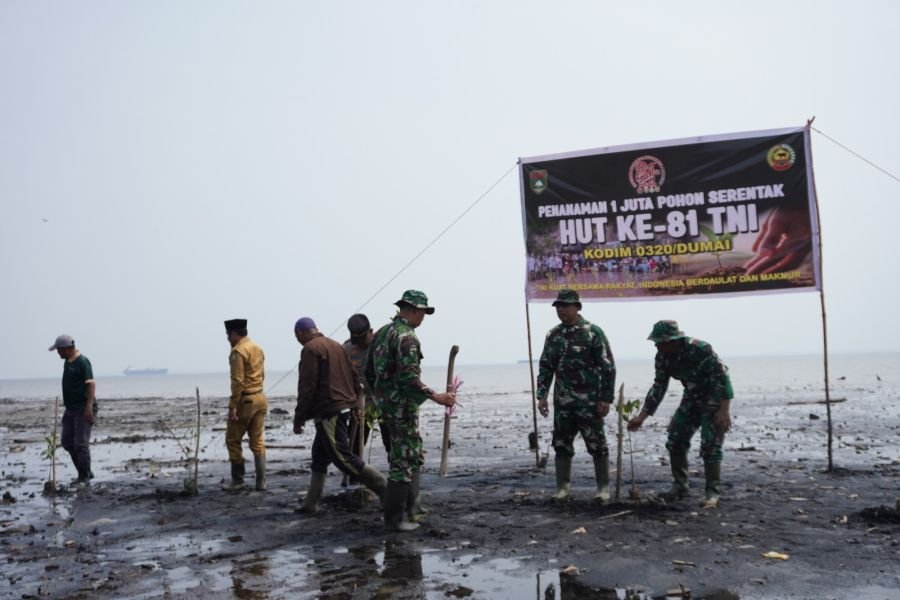 SAMBUT HUT KE-81 TNI, KORAMIL 01/DUMAI GELAR PENANAMAN MANGROVE DI KELURAHAN PURNAMA