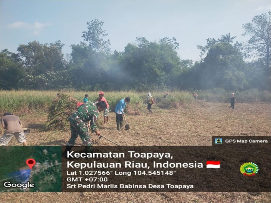 Sambut HUT RI ke-81, Babinsa Toapaya Pimpin Gotong Royong Bersihkan Lapangan di Kampung Cikolek