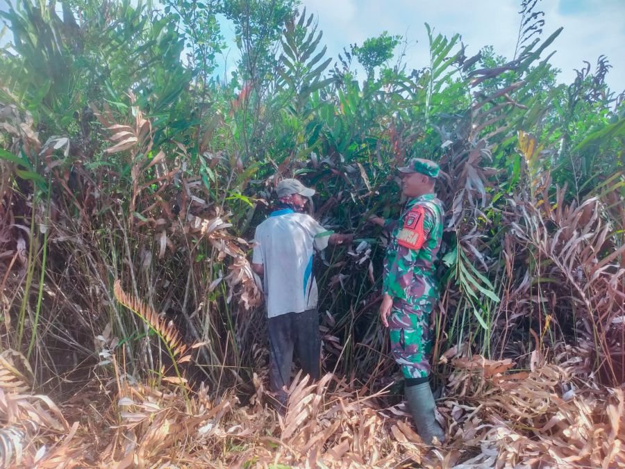 Sebelum Api Menyala, Babinsa Cek Lahan Gambut dan Sumber Air di Semukut