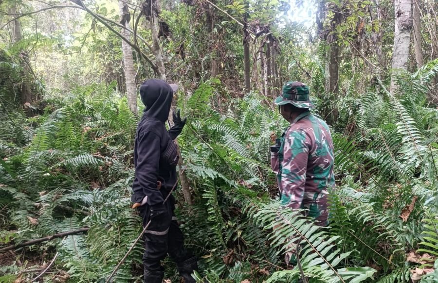 Sebelum Api Muncul, Babinsa Rupat Sudah Bergerak Jaga Lahan Sukarjo Mesim