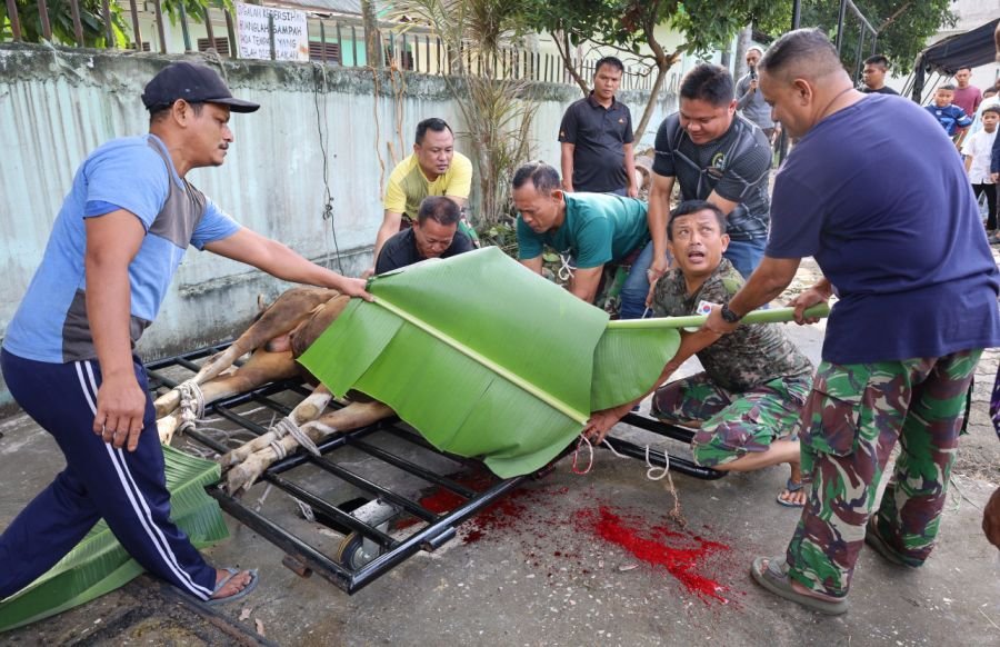 Semangat Berbagi Idul Adha, Kodam XIX/Tuanku Tambusai Sembelih 18 Ekor Sapi dan 9 Ekor Kambing