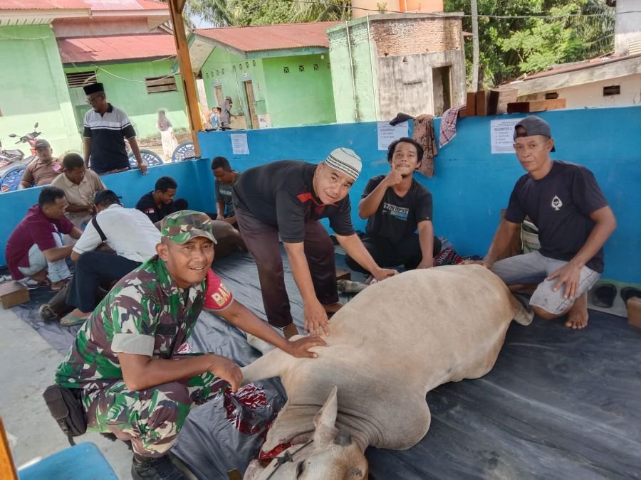 Serba-Serbi Idul Adha 1447 H, Babinsa Koramil 05 Bukit Batu Turun Langsung Bantu Penyembelihan Hewan
