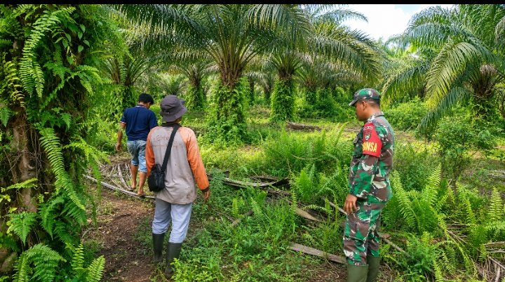 Serda Burju Hutabarat Bersama Warga Desa Sepotong Perkuat Patroli Karhutla, Wujud Nyata Jaga Lingkun