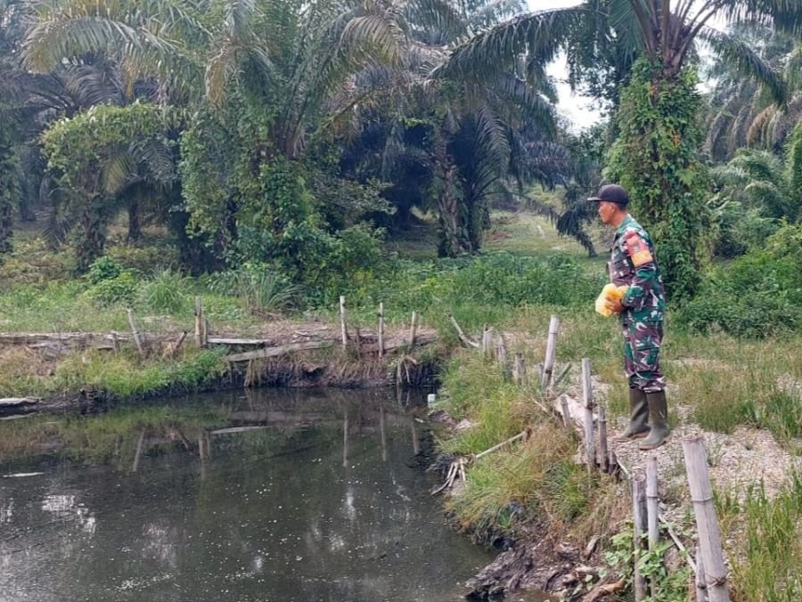 Babinsa Serda D Simanjuntak Sulap Kolam Eco Park Jadi Penopang Ketahanan Pangan