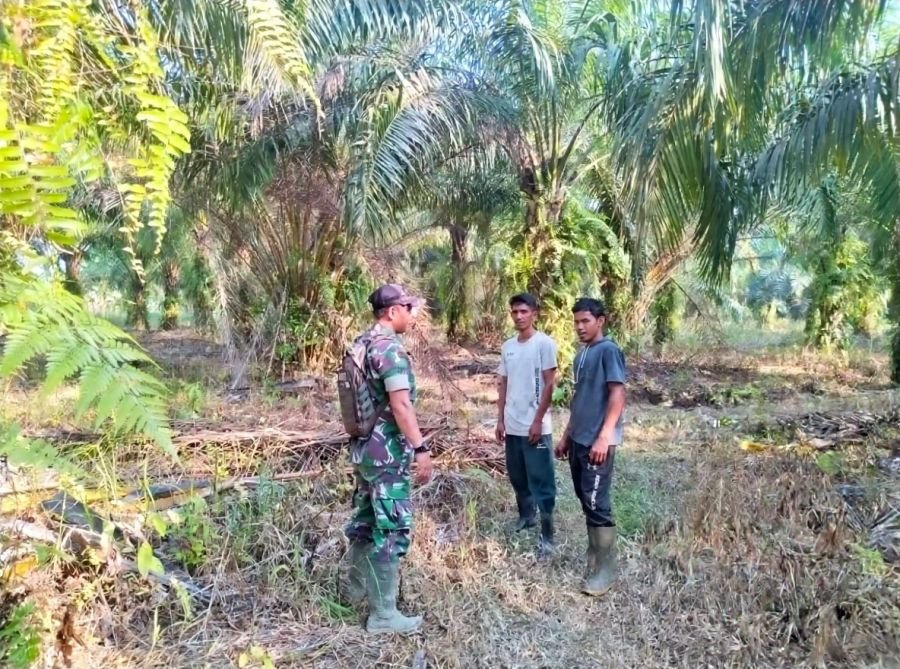 Serda Darmadi Susuri Tapal Batas Pengalihan, Karhutla Jadi Fokus Utama