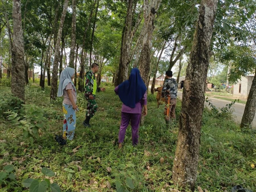 Serda Jama Anur Aktif Cegah Penyebaran PMK, Sambangi Peternak di Desa Sikakak