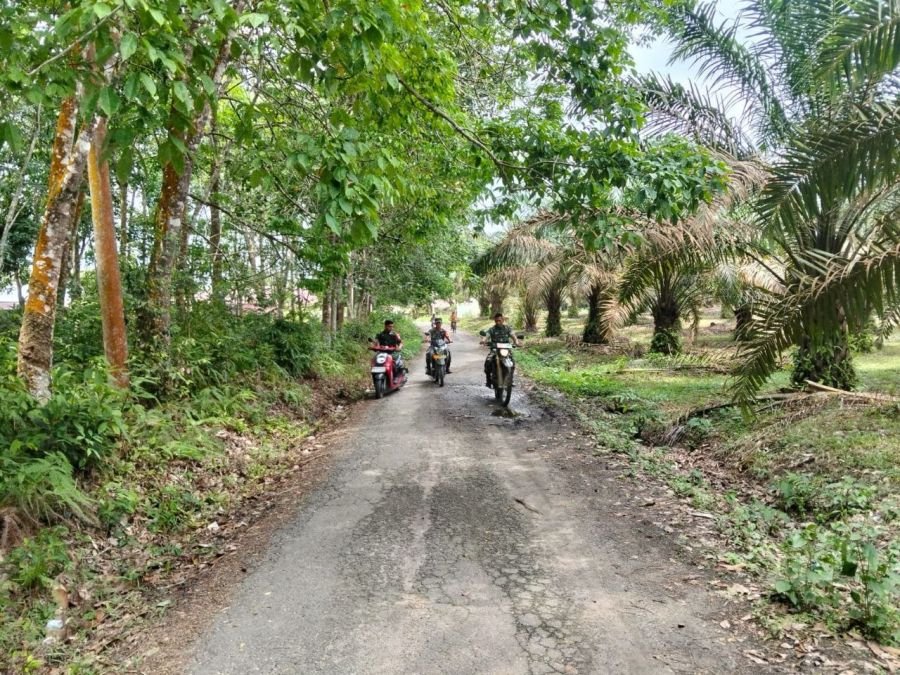 Serda Jama Anur Bersama Rekan Babinsa Tingkatkan Upaya Pencegahan Kebakaran Hutan dan Lahan