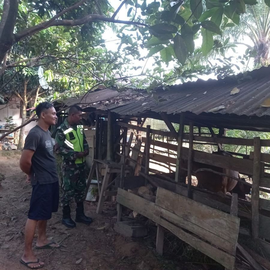 Serda Jama Anur Cek Kondisi Hewan Ternak Warga Desa Sikakak