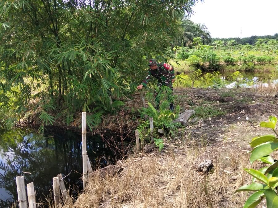 SERDA ML.SILABAN RAWAT TANAMAN DI ECOPARK SIMPANG BANGKO, PERKUAT KETAHANAN PANGAN MASYARAKAT