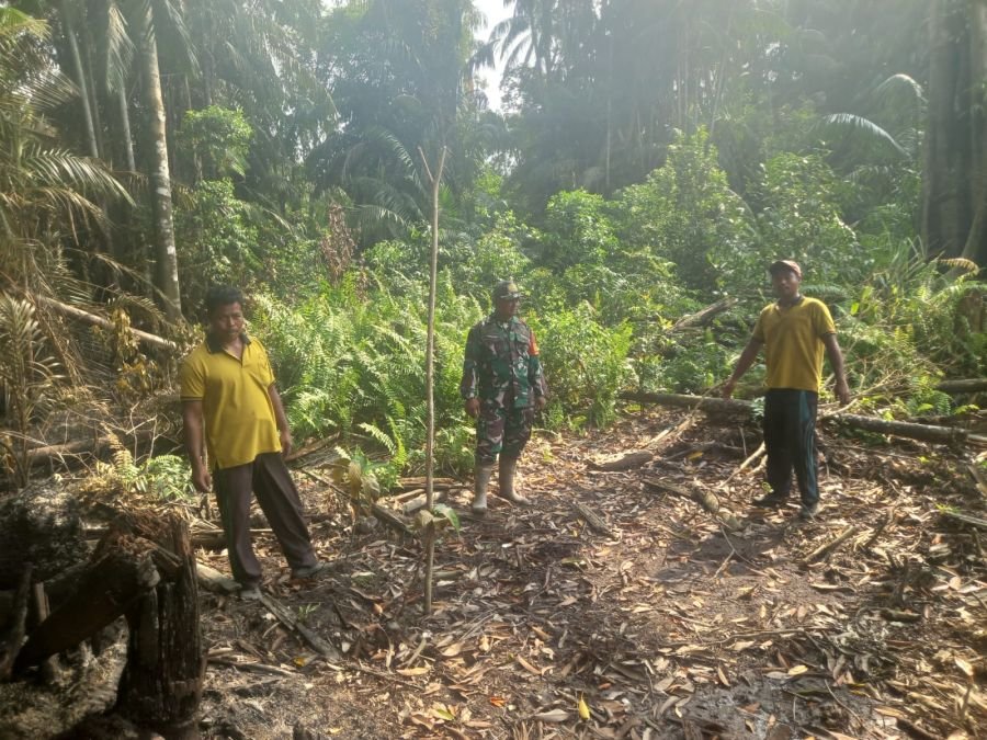 Serda Wondo Susilo Sisir Area Rawan Karhutla di Pancur Jaya