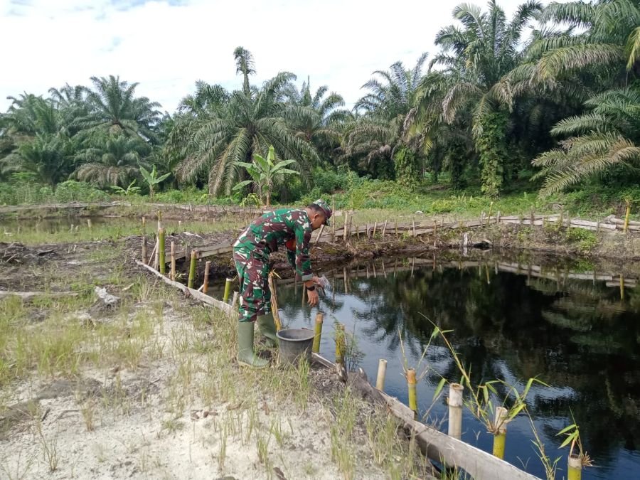 Serda Zulkarnain Rawat Kolam Ikan di Demplot Pos Ramil, Perkuat Ketahanan Pangan Lokal