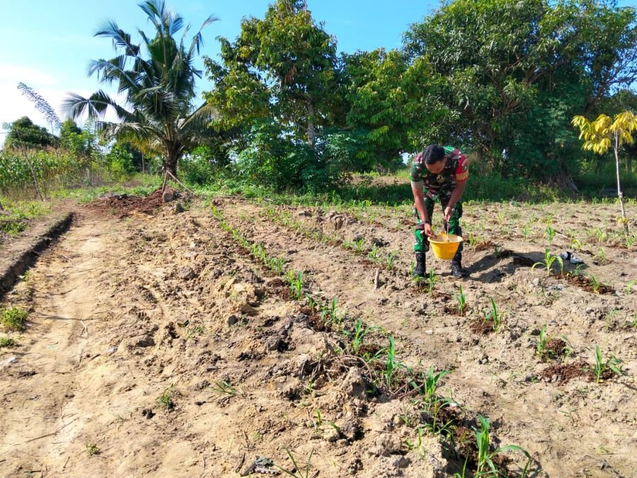 Serda ZulkarnainLaksanakan Perawatan Tanaman, Jaga Kelestarian Kawasan Ecopark Simpang Bangko
