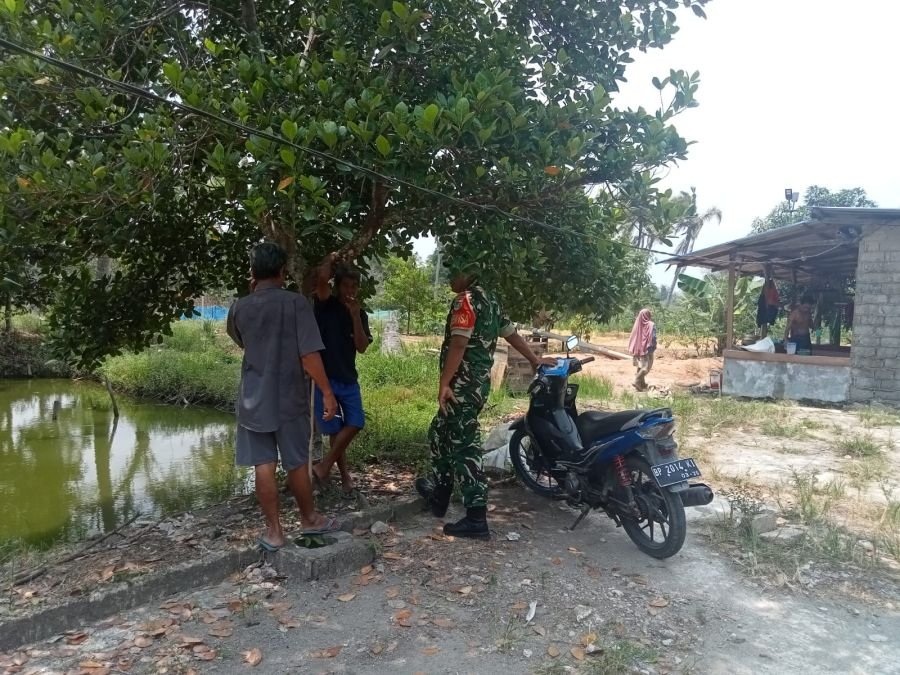 Serka Atmaja Bantu Warga Tangkap Ular Sanca Pemangsa Ternak di Pangke