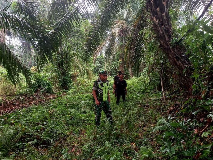Serka Efison Patroli dan Sosialisasi Karhutla di Desa Sigaruntang
