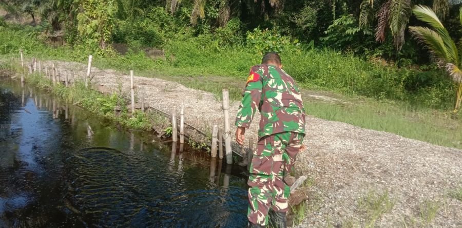 Serka Handoko Babinsa Koramil Mandau Rawat Kolam Ikan, Dukung Ketahanan Pangan di Bengkalis