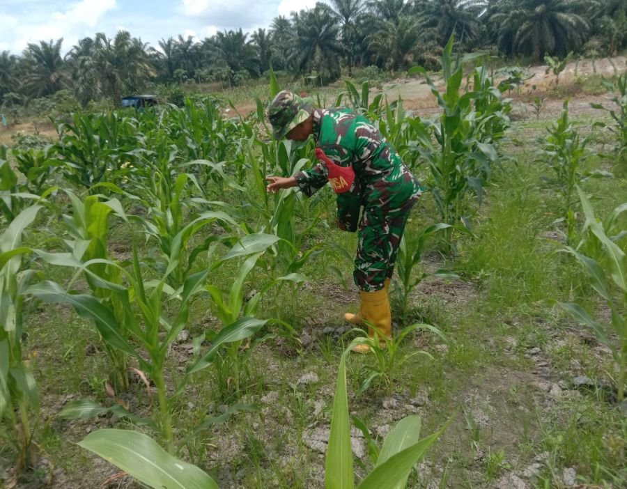 Serka Handoko Laksanakan Perawatan Tanaman, Jaga Kelestarian Kawasan Ecopark Simpang Bangko