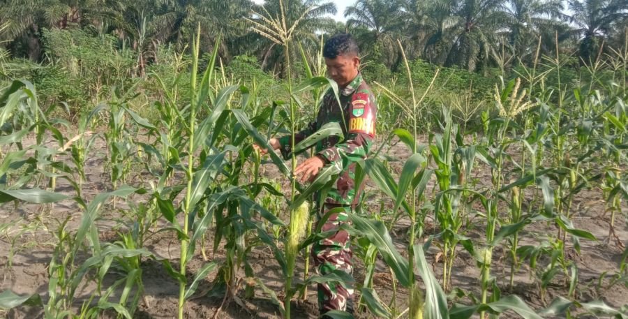 Serka Handoko Lakukan Perawatan Tanaman di Ecopark Simpang Bangko