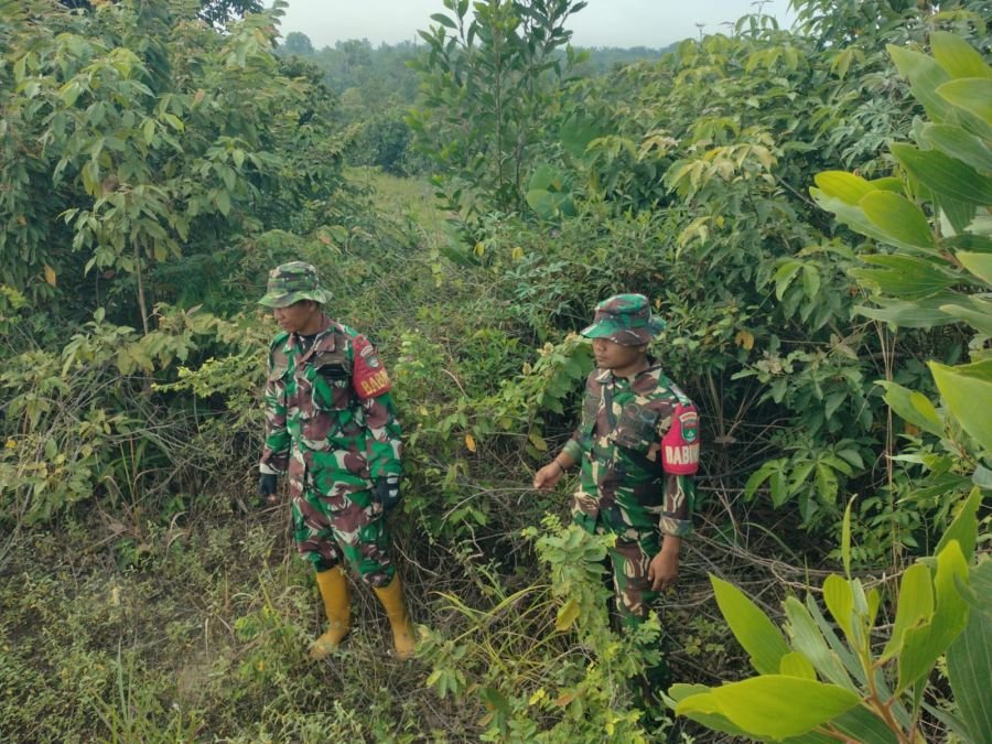 Serka Handoko & Praka L.K Sinaga Patroli Karhutla di Jalur Bekasap Pematang Pudu