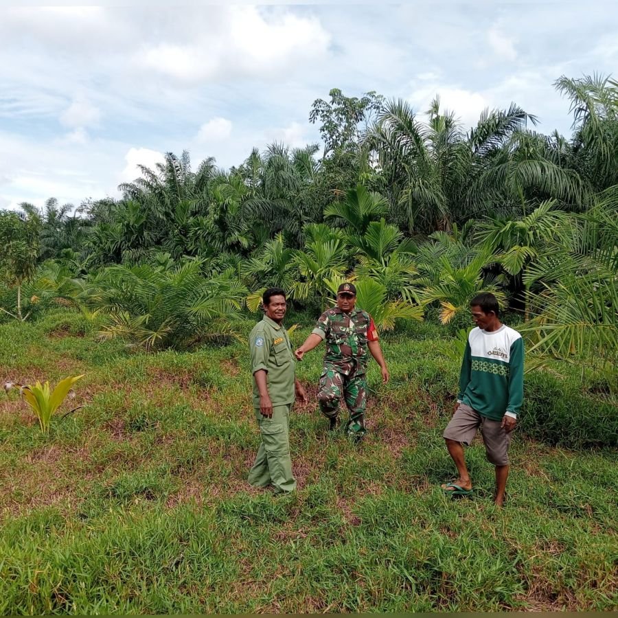 Serka Heru Bujono, Babinsa Koramil 01/Bengkalis, melaksanakan patroli pencegahan kebakaran hutan dan