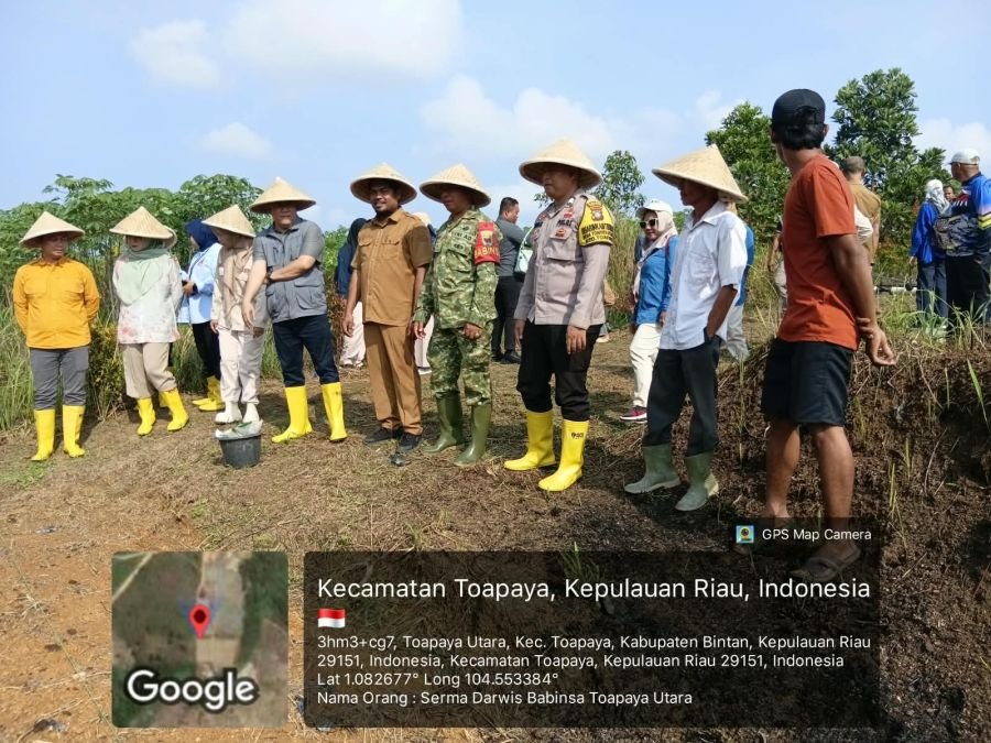 Serma Darwis Dukung Ketahanan Pangan, Hadiri Penanaman Padi Gogo, Jagung dan Cabe di Toapaya Utara
