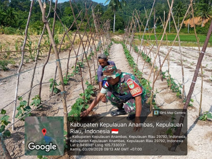 Serma Edi Sucipto Dampingi Petani Bahas Ketahanan Pangan dan Budidaya Cabai