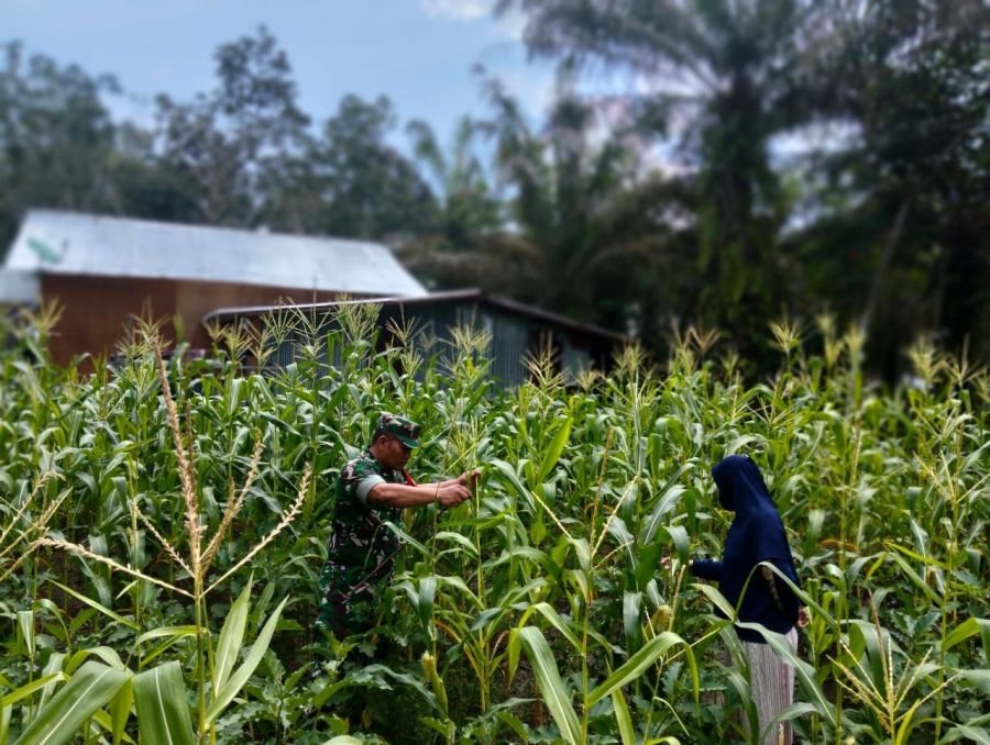 Serma Manihuruk Pantau Hanpangan, Petani Air Terjun Terbantu