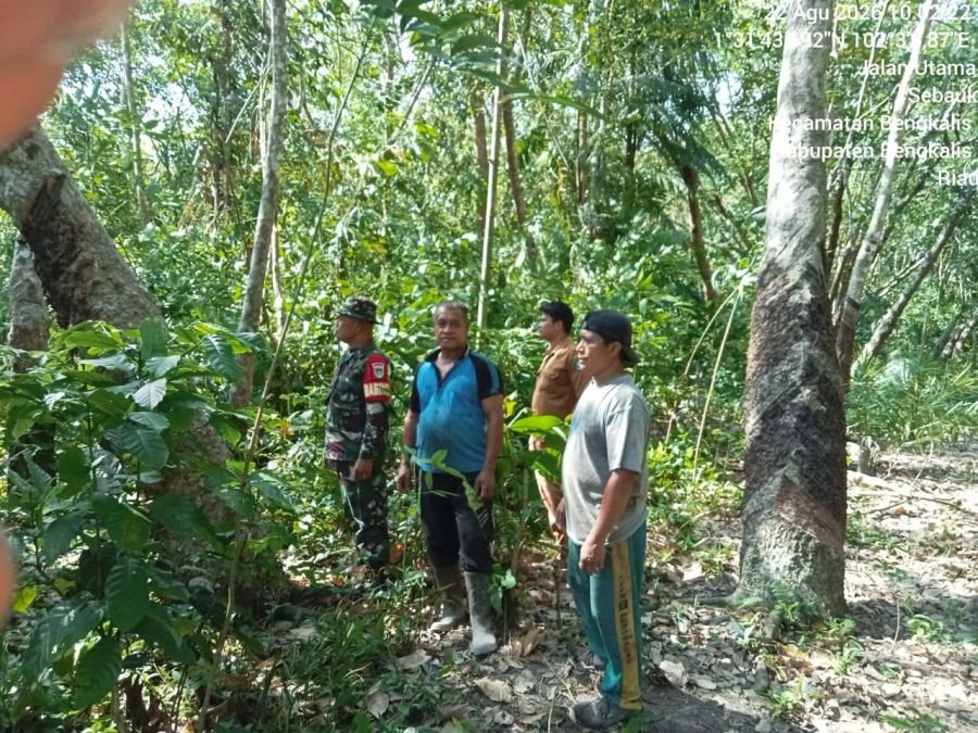 Serma rayen laksanakan patroli Karhutla di desa sebauk kec.bengkalis kabupaten Bengkalis