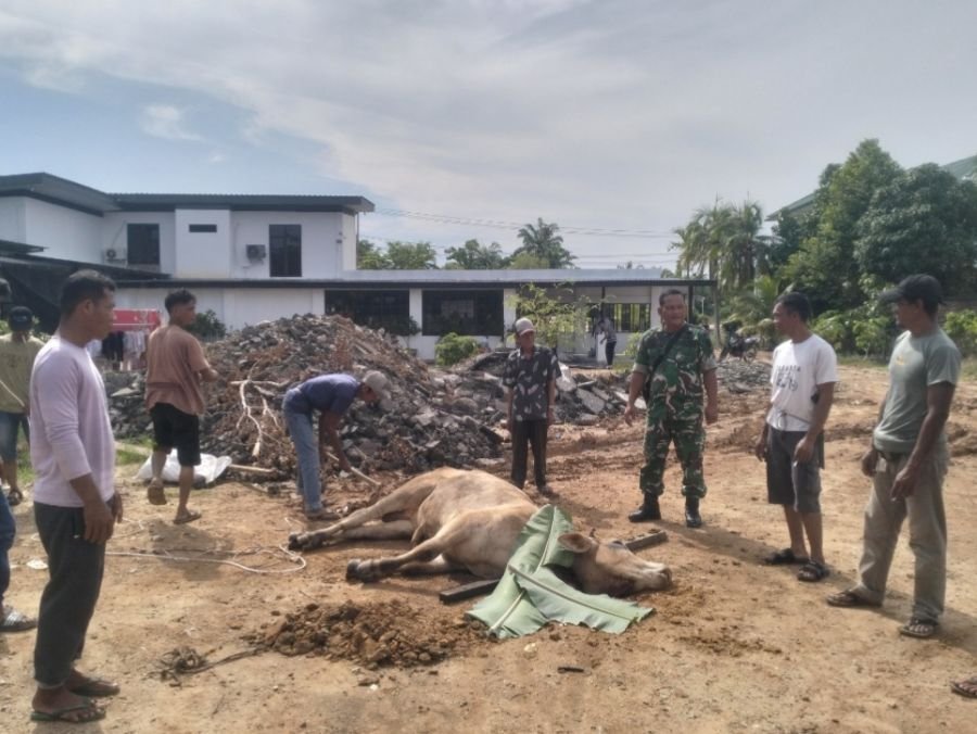 SERTAI WARGA, BABINSA KORAMIL 01/BANGKO BANTU PENYEMBELIHAN HEWAN QURBAN DI BAGAN PUNAK MERANTI