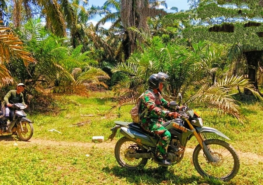 Sertu Alimuddin Harahap: Hari Ini Kami Secara Bersama-sama Melakukan kegiatan dalam Melindungi Hutan