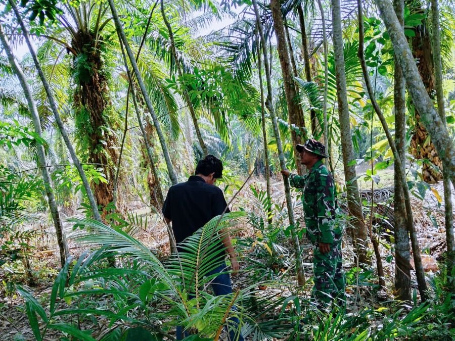Sertu Beni Manopo Pimpin Patroli Karhutla Bersama Warga