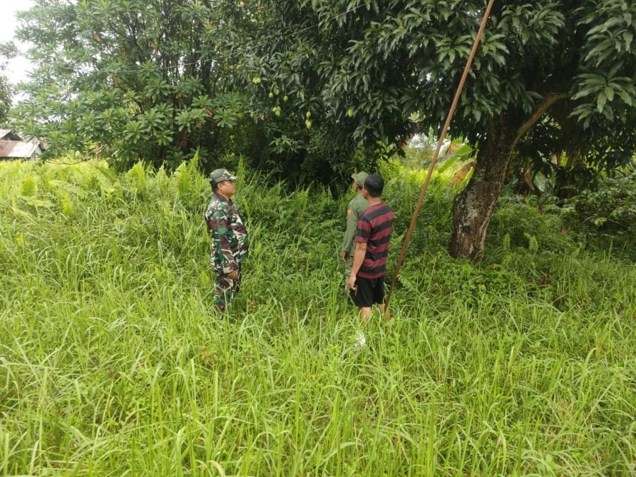 Sertu Herman Bersama Masyarakat Patroli Cegah Karhutla di Desa Banglas