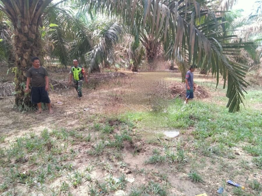 Sertu Juanda Intensifkan Patroli dan Sosialisasi Karhutla di Desa Kompe Berangin