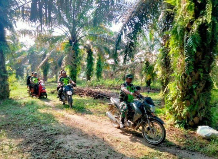 Sertu Juanda Patroli Karhutla di Kebun Kelapa Warga Desa Tanjung Medan