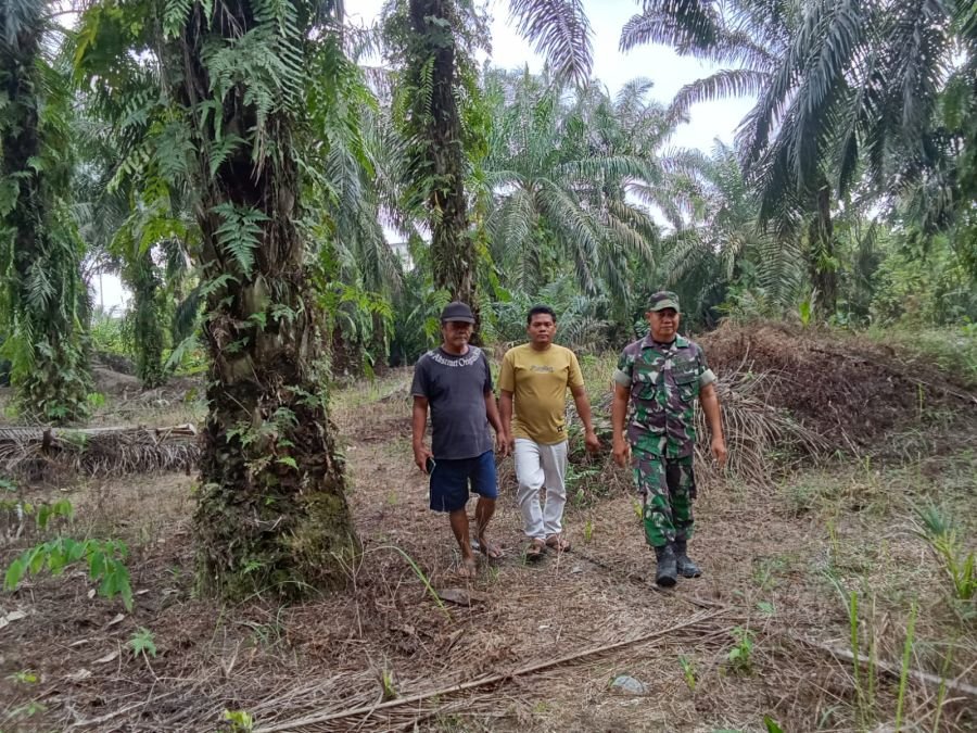 Sertu Laila Babinsa Koramil 04/Perawang Sisir Titik Rawan Karhutla di Kp Empang Pandan