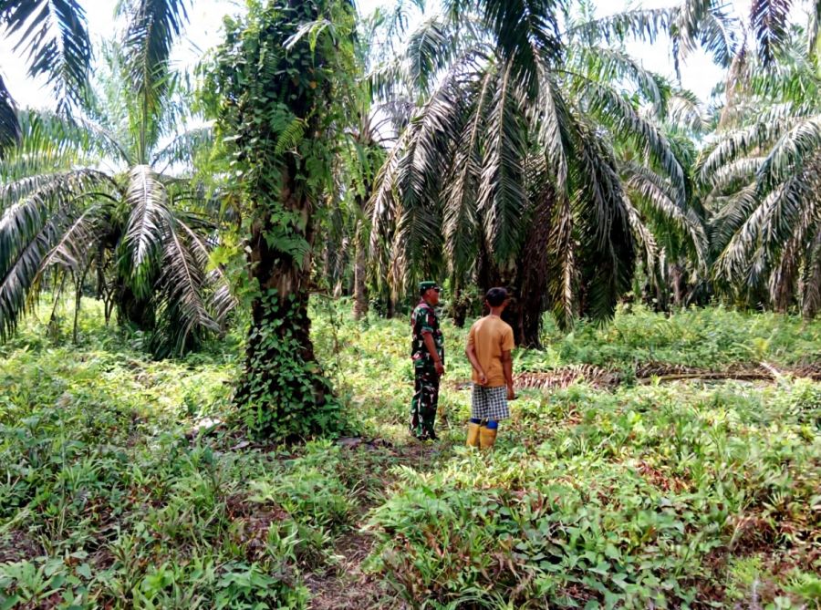 Sertu Ramadhan Jaga Tapal Batas Limau Manis, Karhutla Jadi Atensi Warga Binaan