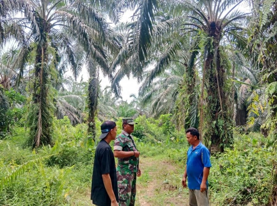 Sertu Ramadhan: Patroli Tapal Batas Rutin Dilakukan Saat Musim Kemarau