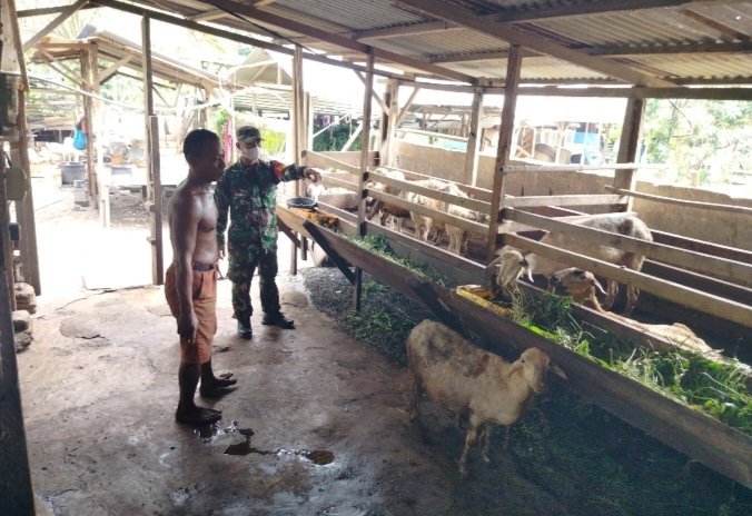 Sertu Suroyo Babinsa 05/RM melakukan Pendataan Terhadap Ternak Masyarakat Bangko Sempurna