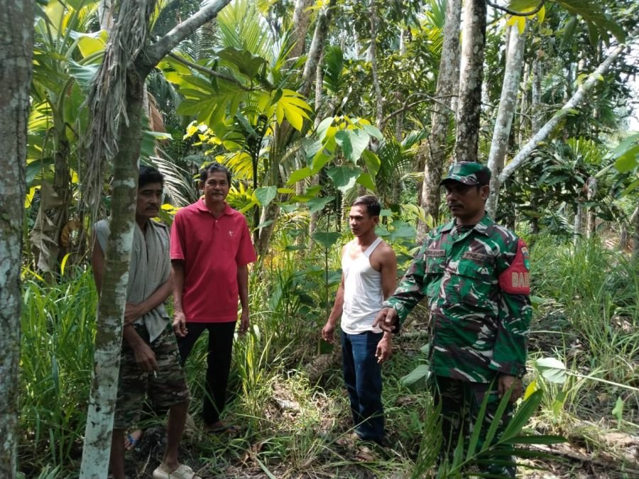 Sertu Tulus L. Gaol Ajak Warga Lintas Utara Jaga Hutan Lewat Patroli dan Sosialisasi