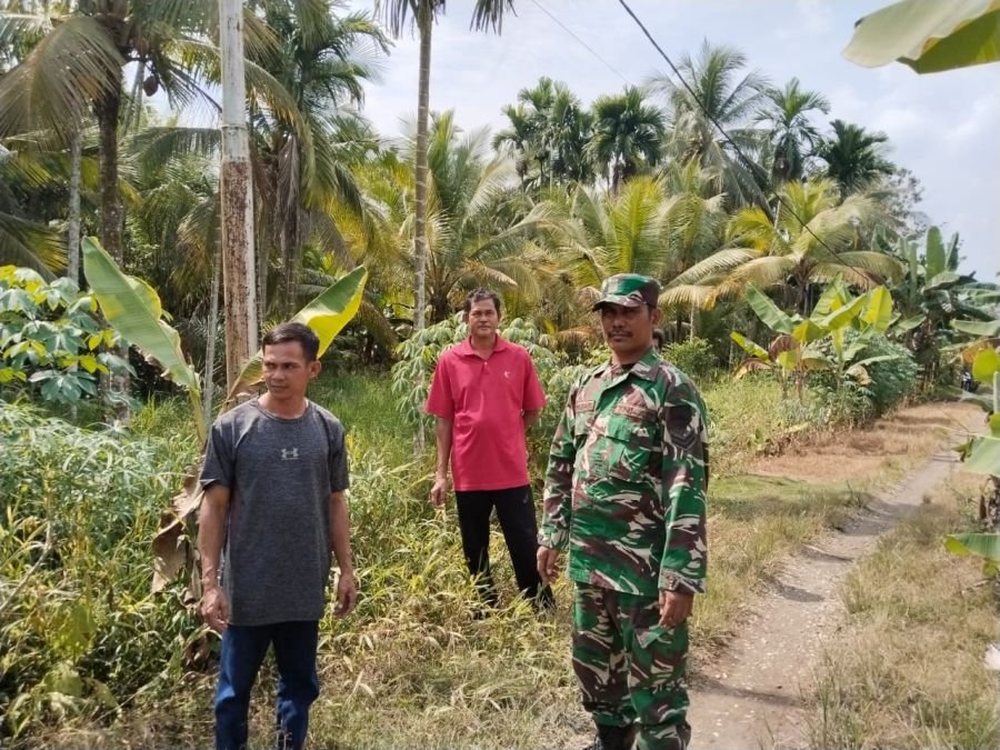 Sertu Tulus L. Gaol Patroli Tapal Batas Dan Sosialisasi Karhutla Di Nusantara Jaya