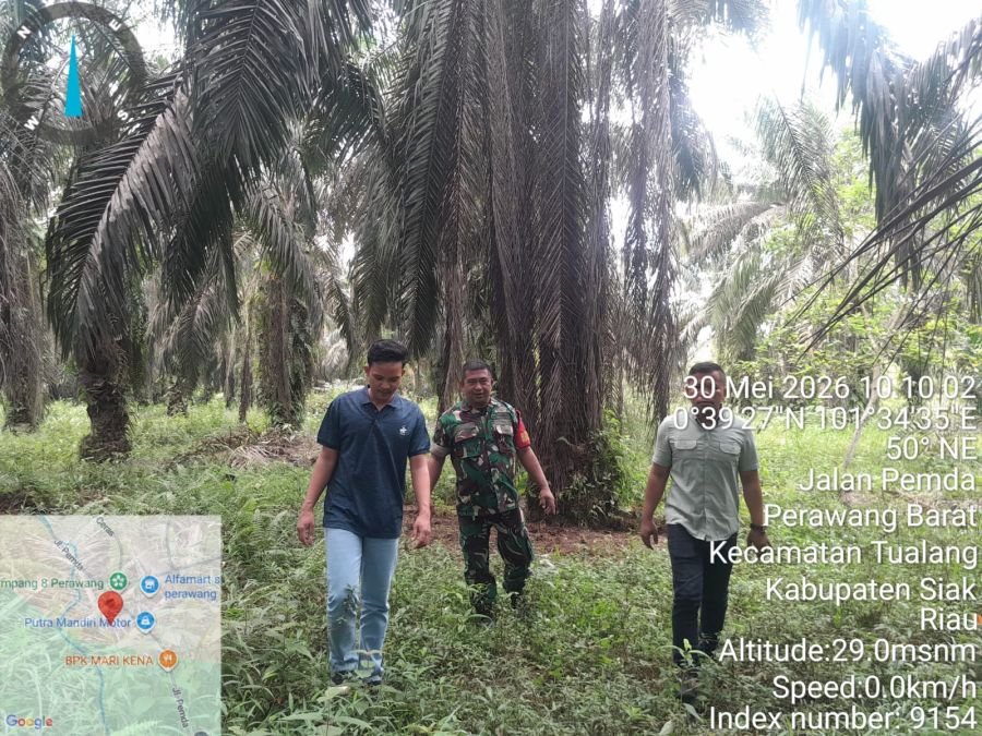 Sertu Venus Luberto, Babinsa Koramil 04/Perawang Perkuat Patroli Karhutla Bersama Warga
