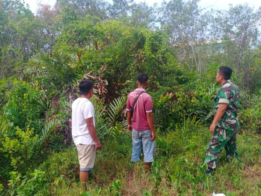 Sertu Z Harahap Babinsa Desa Melai Sisir Titik Rawan Karhutla Saat Musim Panas