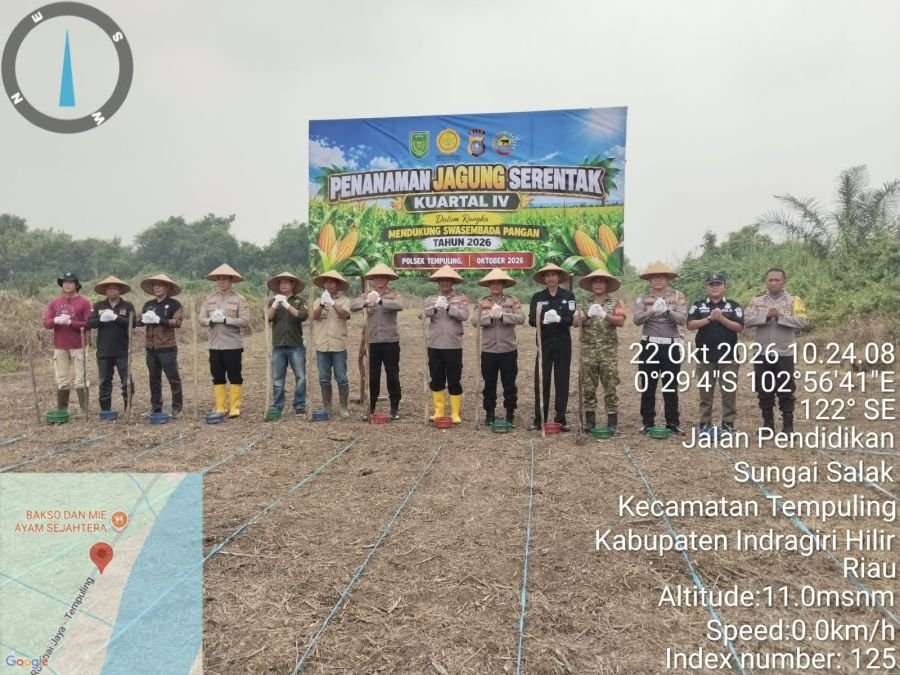 Setengah Hektare Jagung Ditanam di Teluk Jira, TNI-Polri Perkuat Ketahanan Pangan
