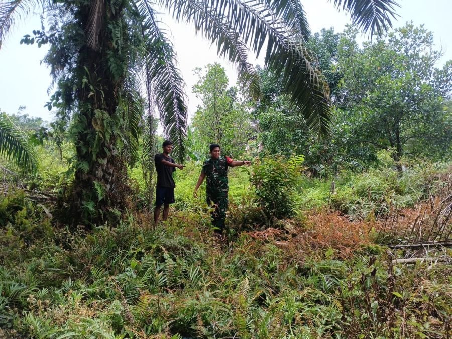 Siang Terik Tak Jadi Halangan! Babinsa dan MPA Bergerak Cegah Karhutla di Sungai Ukai
